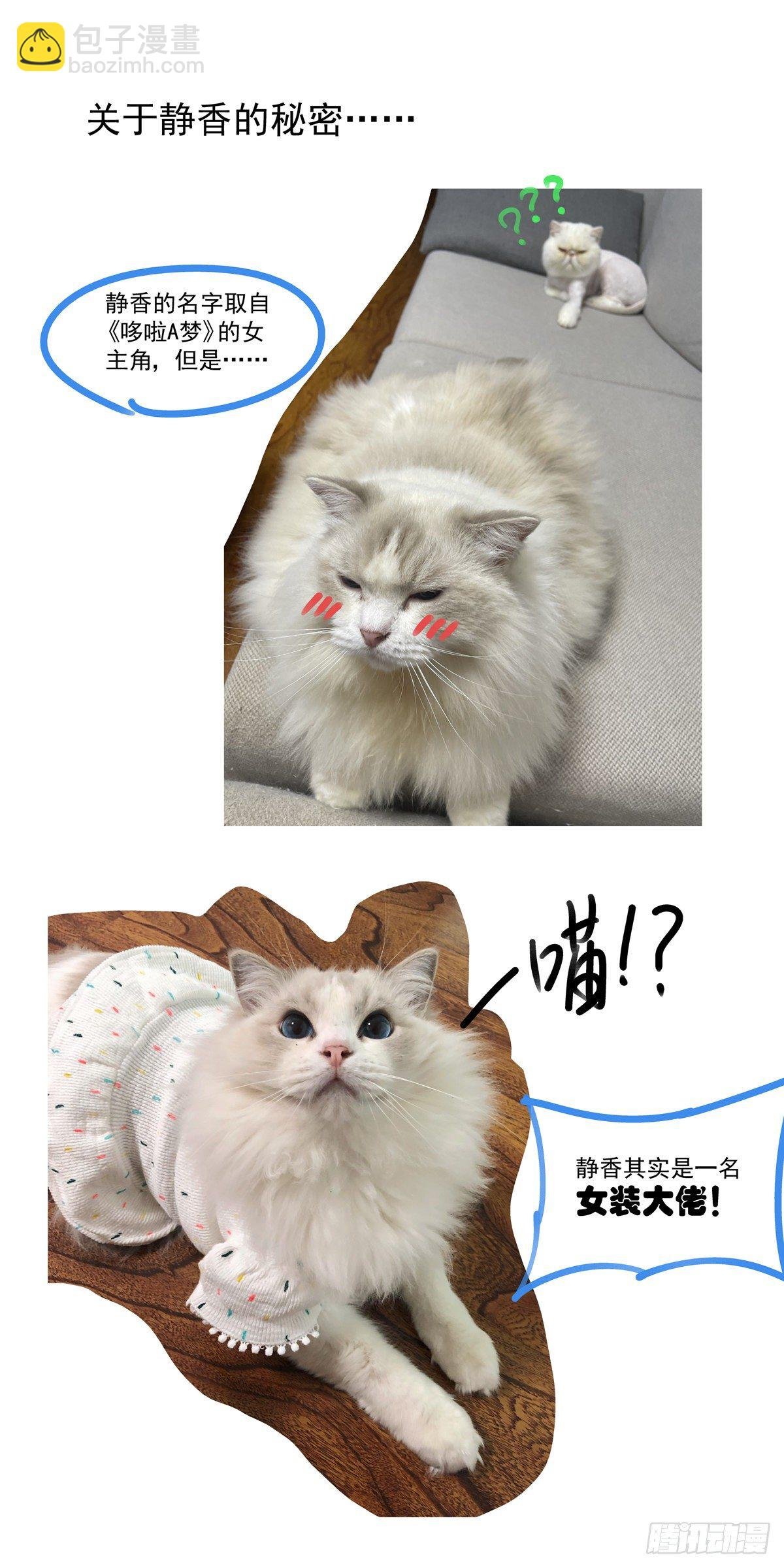 009一败已百年