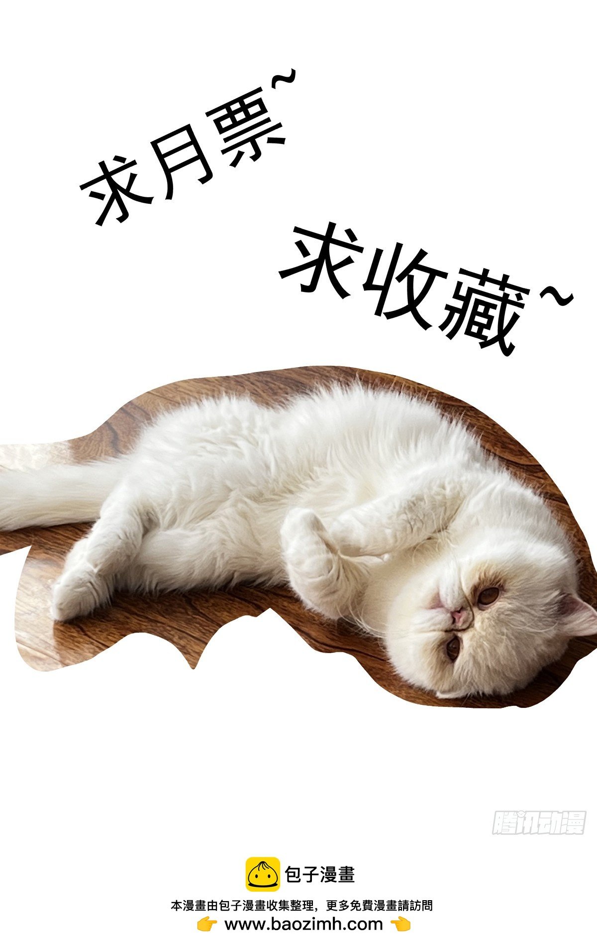110拳挑地下河，携剑入松鹰