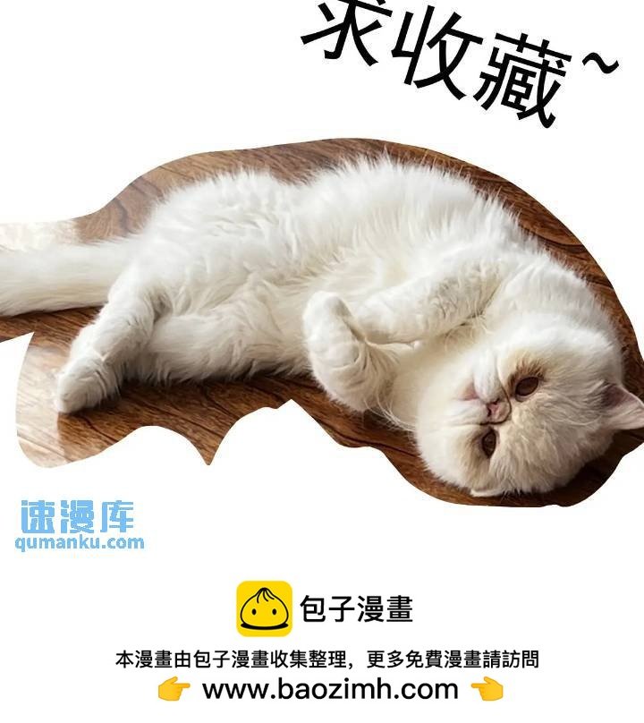 120纸飞机