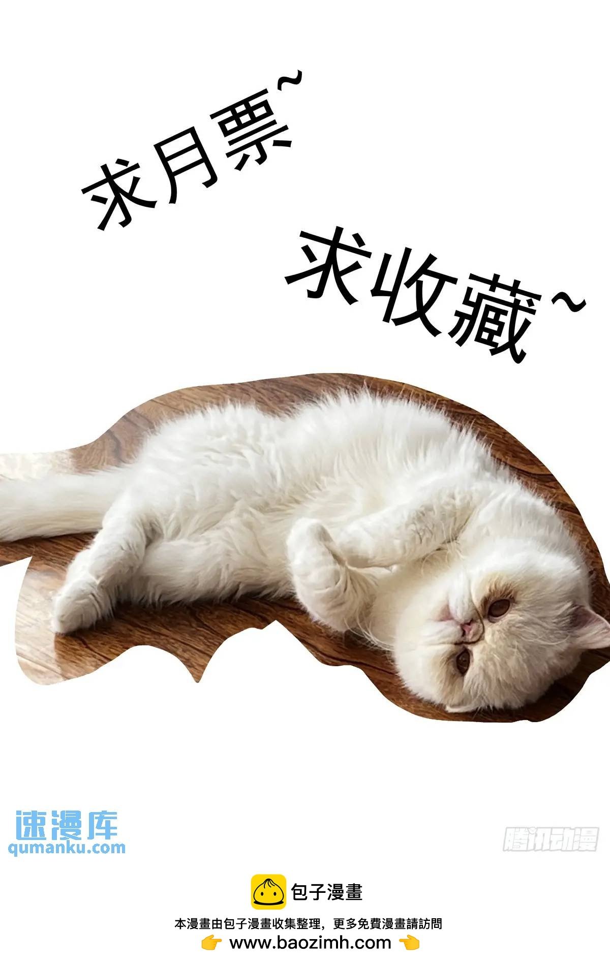 128登台