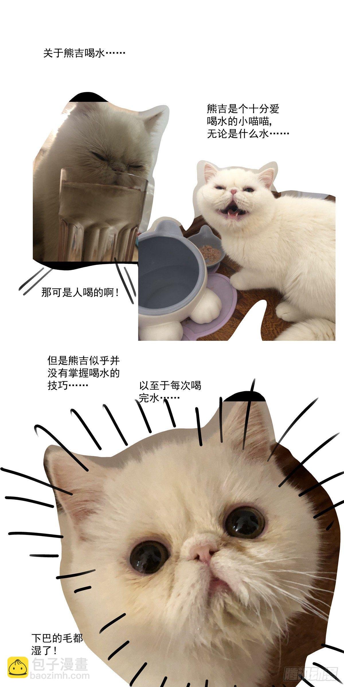 017侠义长存