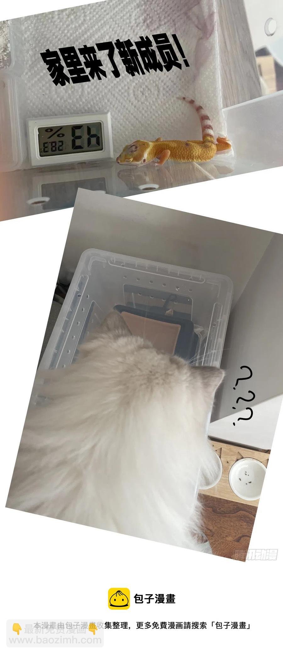 036癔症，图灵