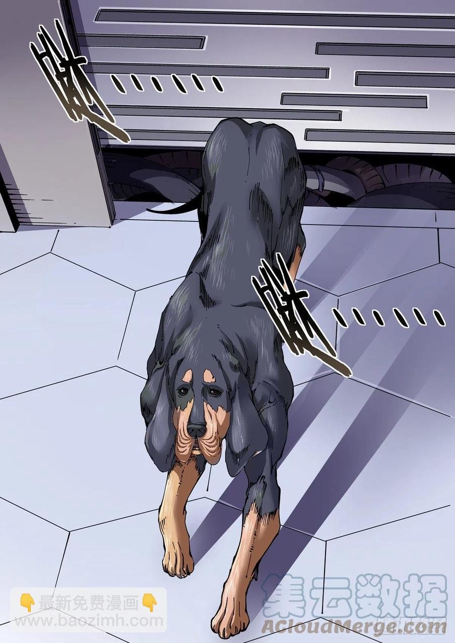 039榜单、江湖规矩与狂猎犬