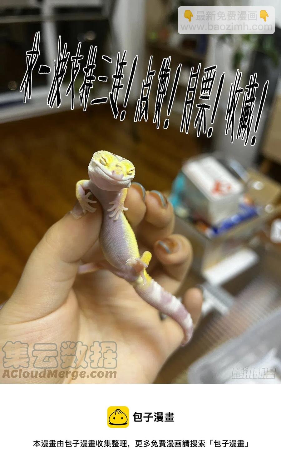 039榜单、江湖规矩与狂猎犬