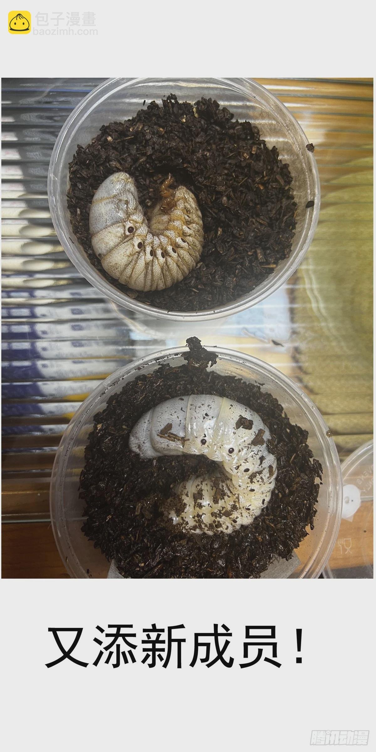 062以高声彰高义