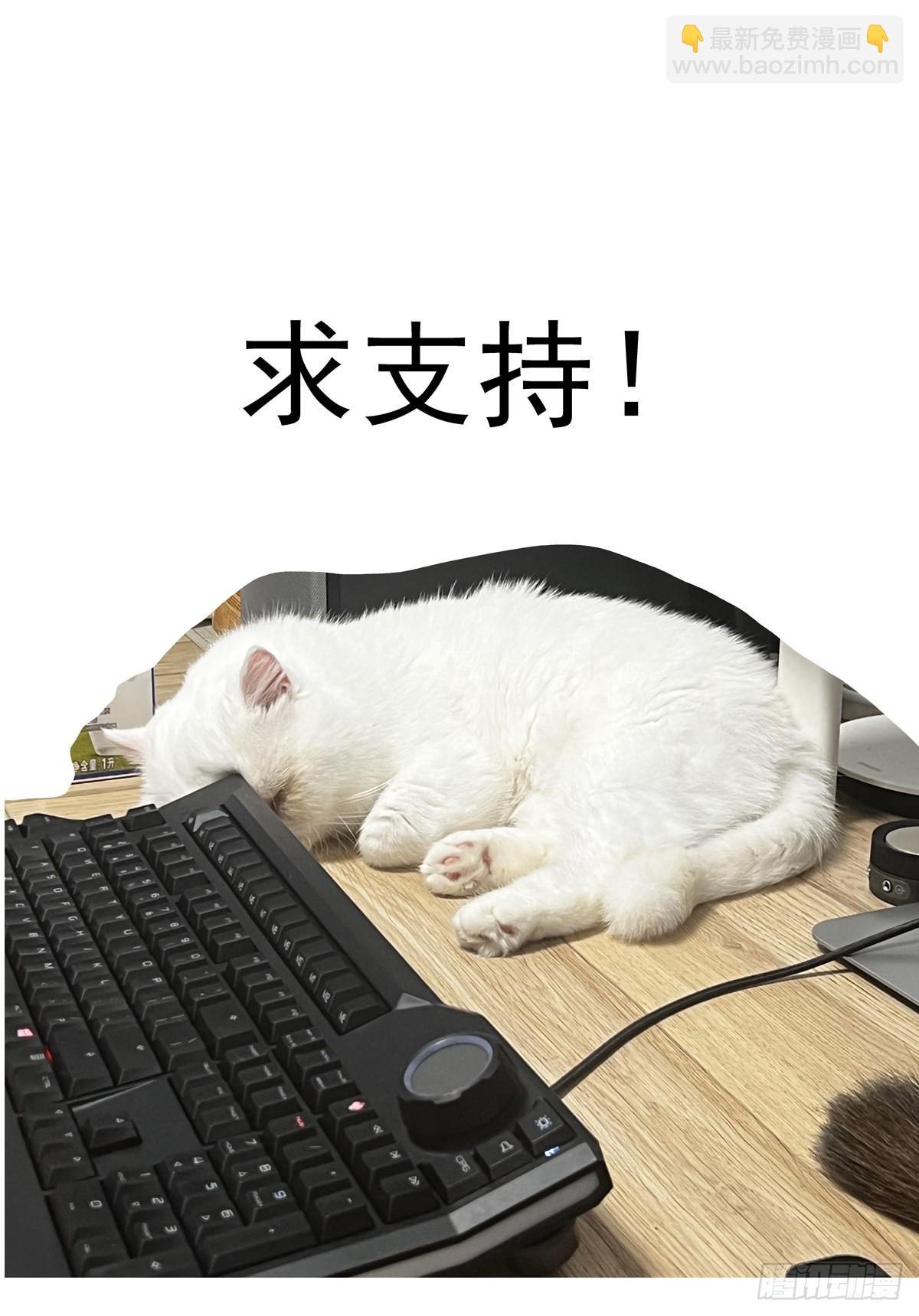064绝对防御