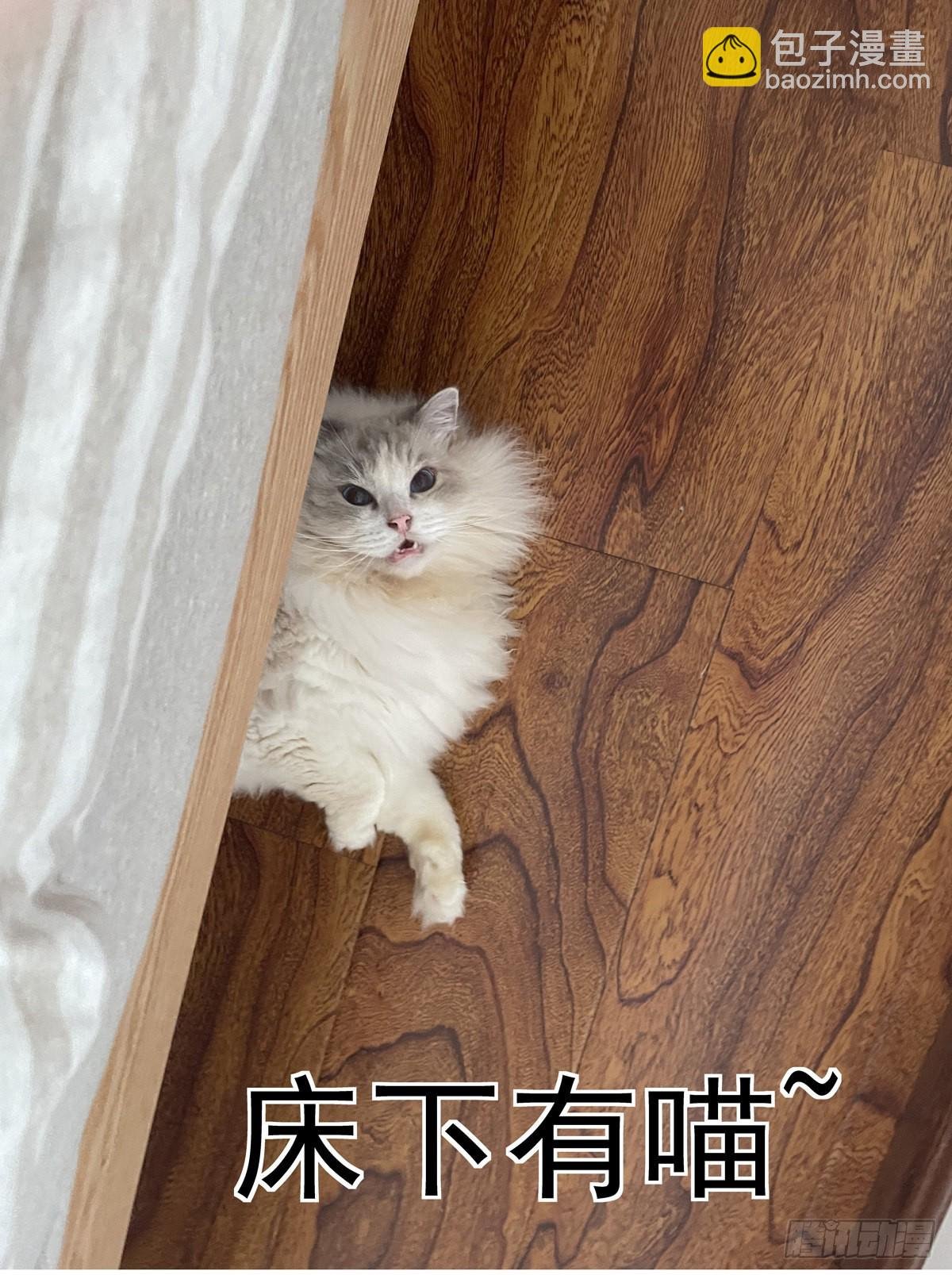 068脊柱与脑机屏障