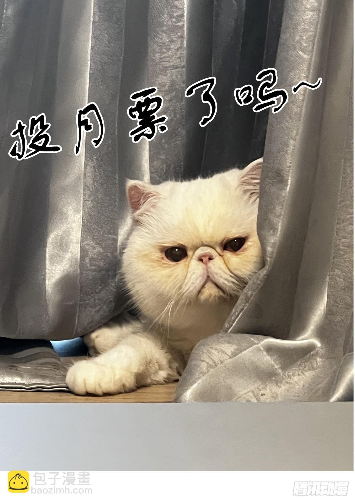074追兵将至
