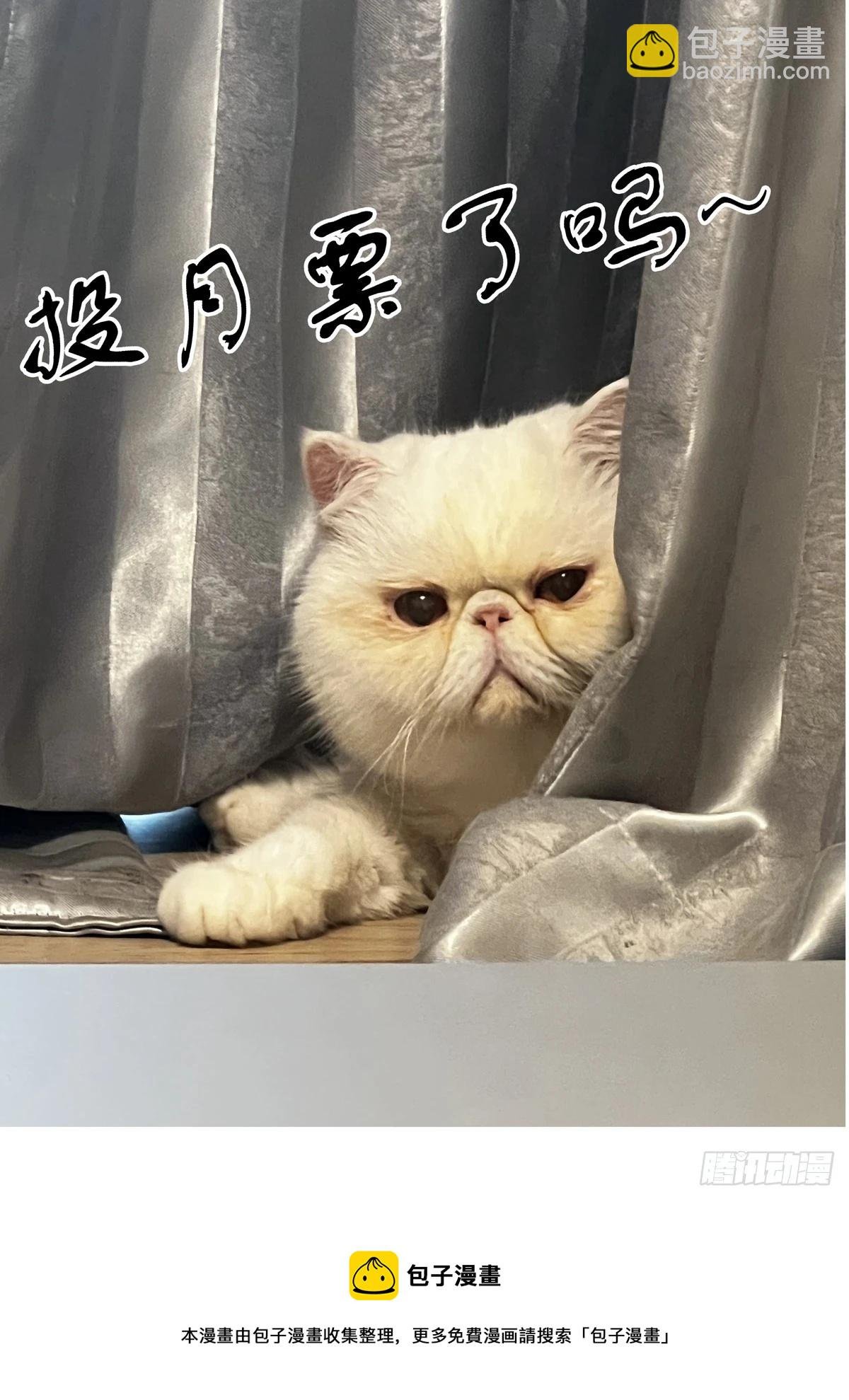 088螳螂捕雀