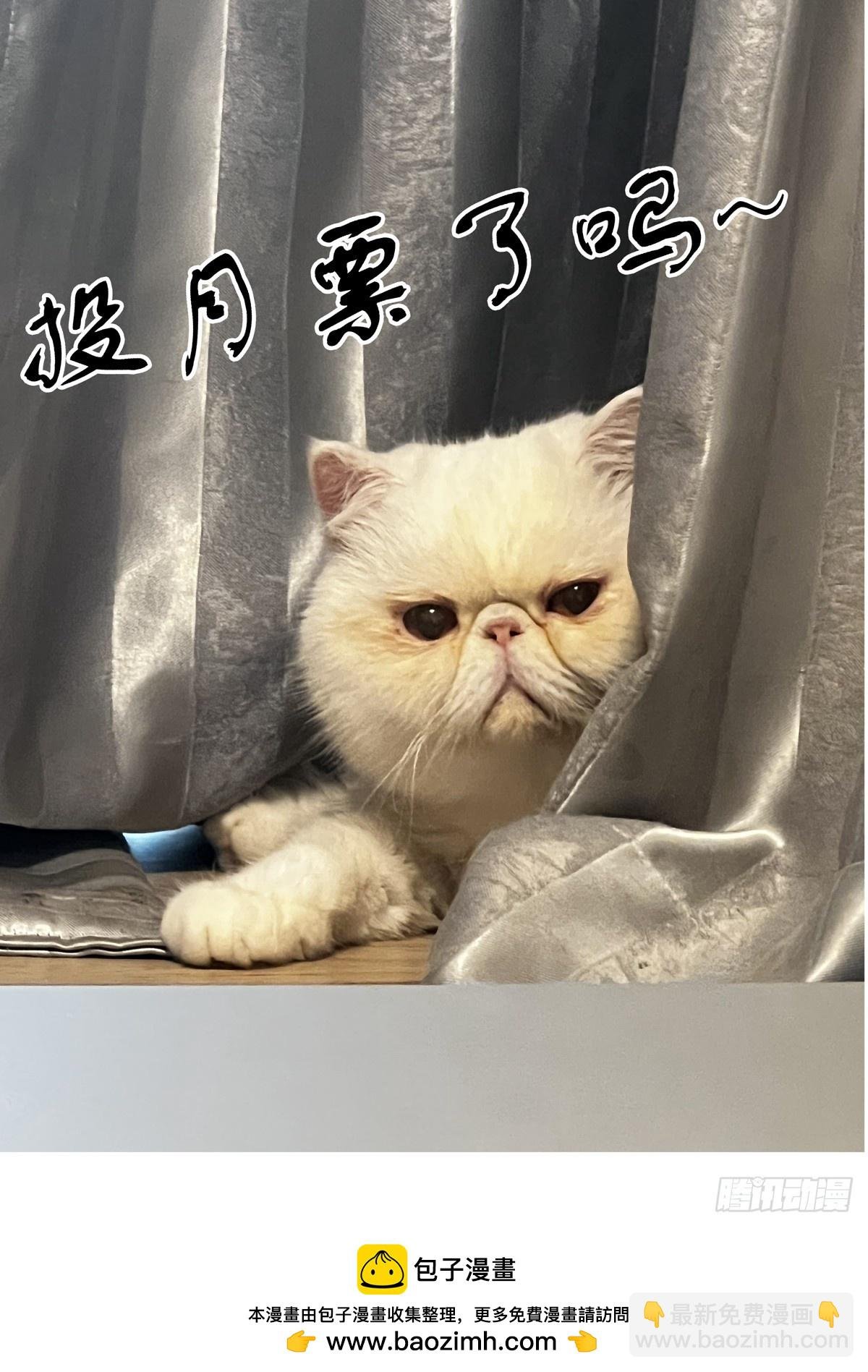 094临终关怀