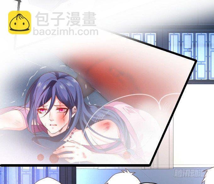 楚·霸气·颜VS张·贱人·翡翠
