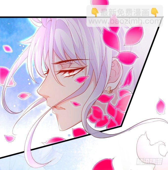 确认过眼神你是白莲花！
