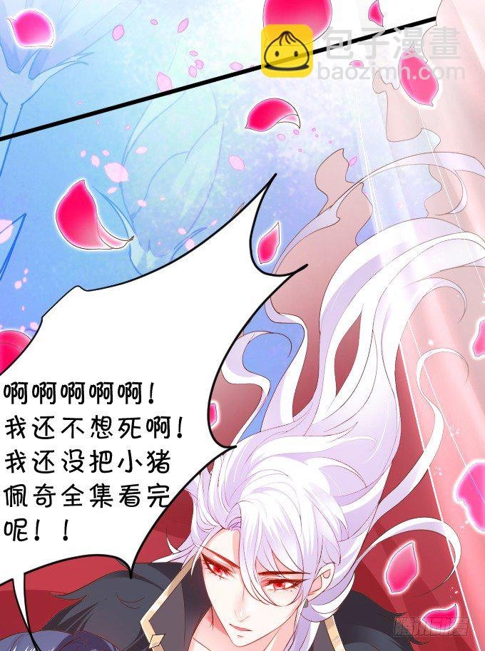 确认过眼神你是白莲花！