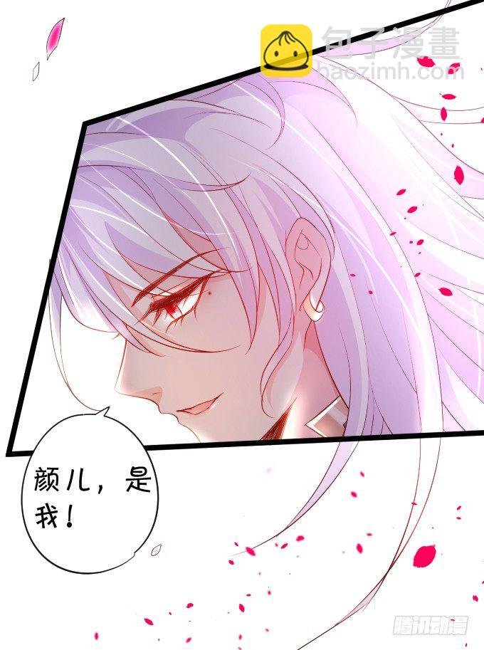 确认过眼神你是白莲花！