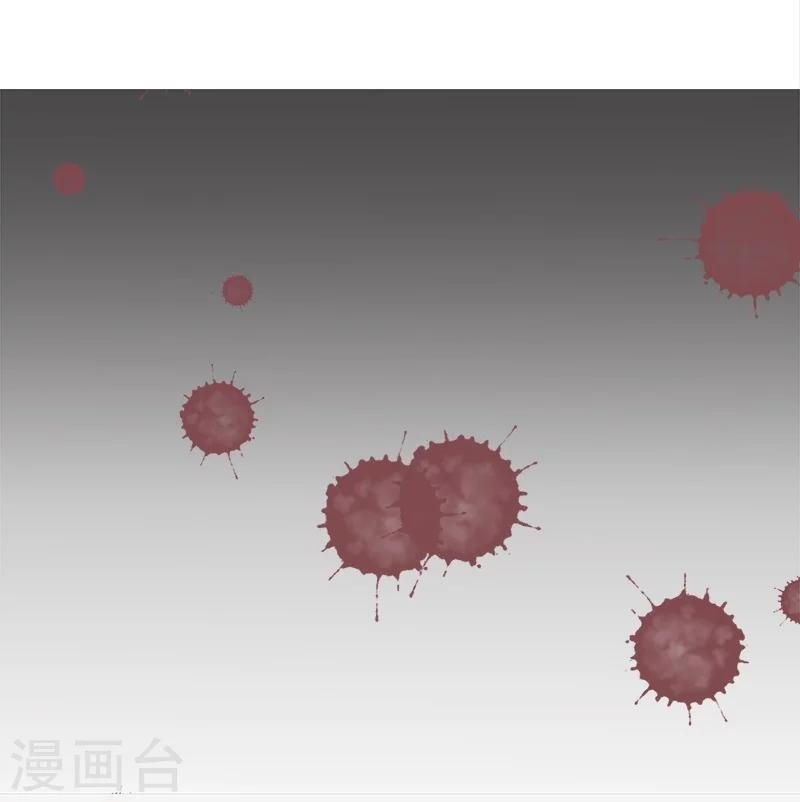 第26话 粉丝大打出手，楚颜真颜暴露？