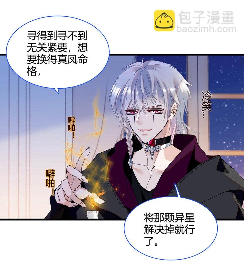 15 这就是我梦想的生活