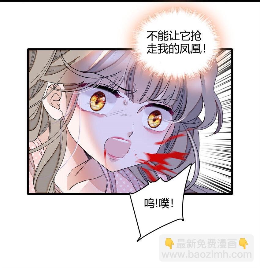7 凤凰命格