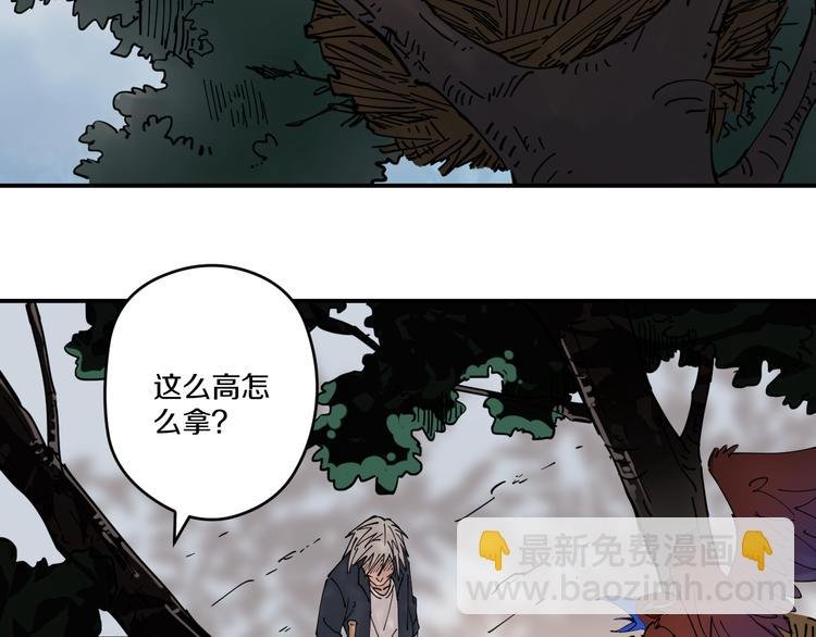 第9话 舍命与奇遇