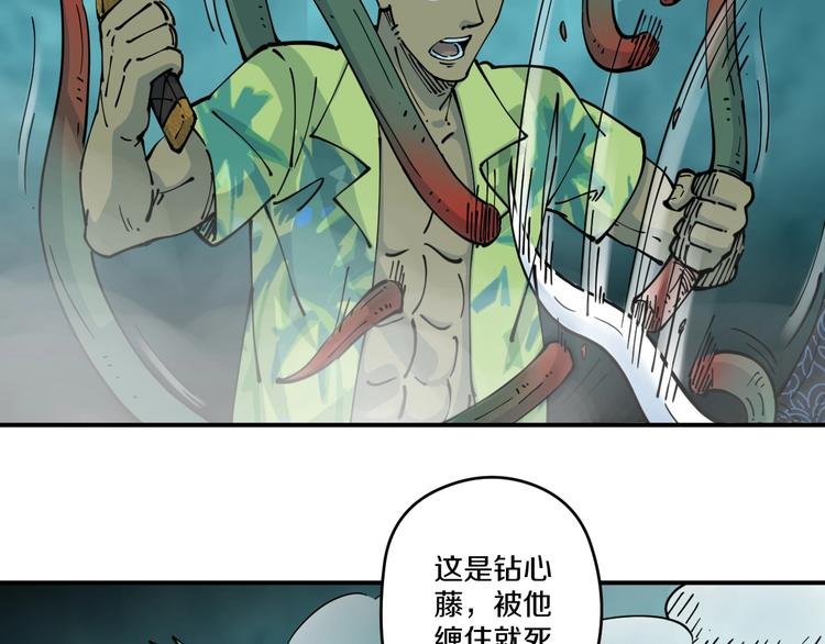 第18话 藤蔓的背后