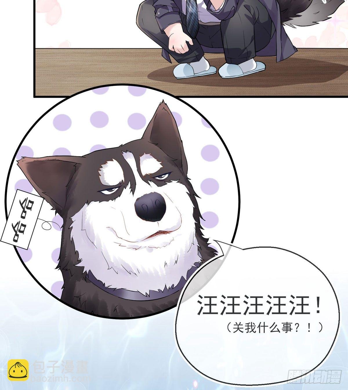 序章--霸道总裁的瓜，你吃不吃