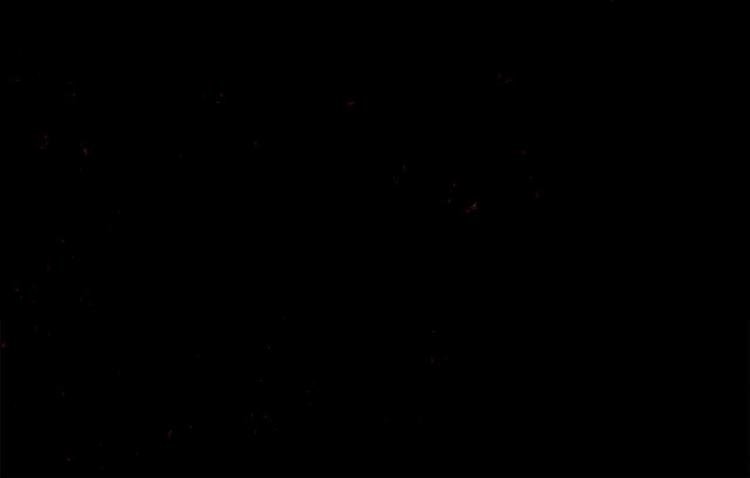 第10话 合作伙伴