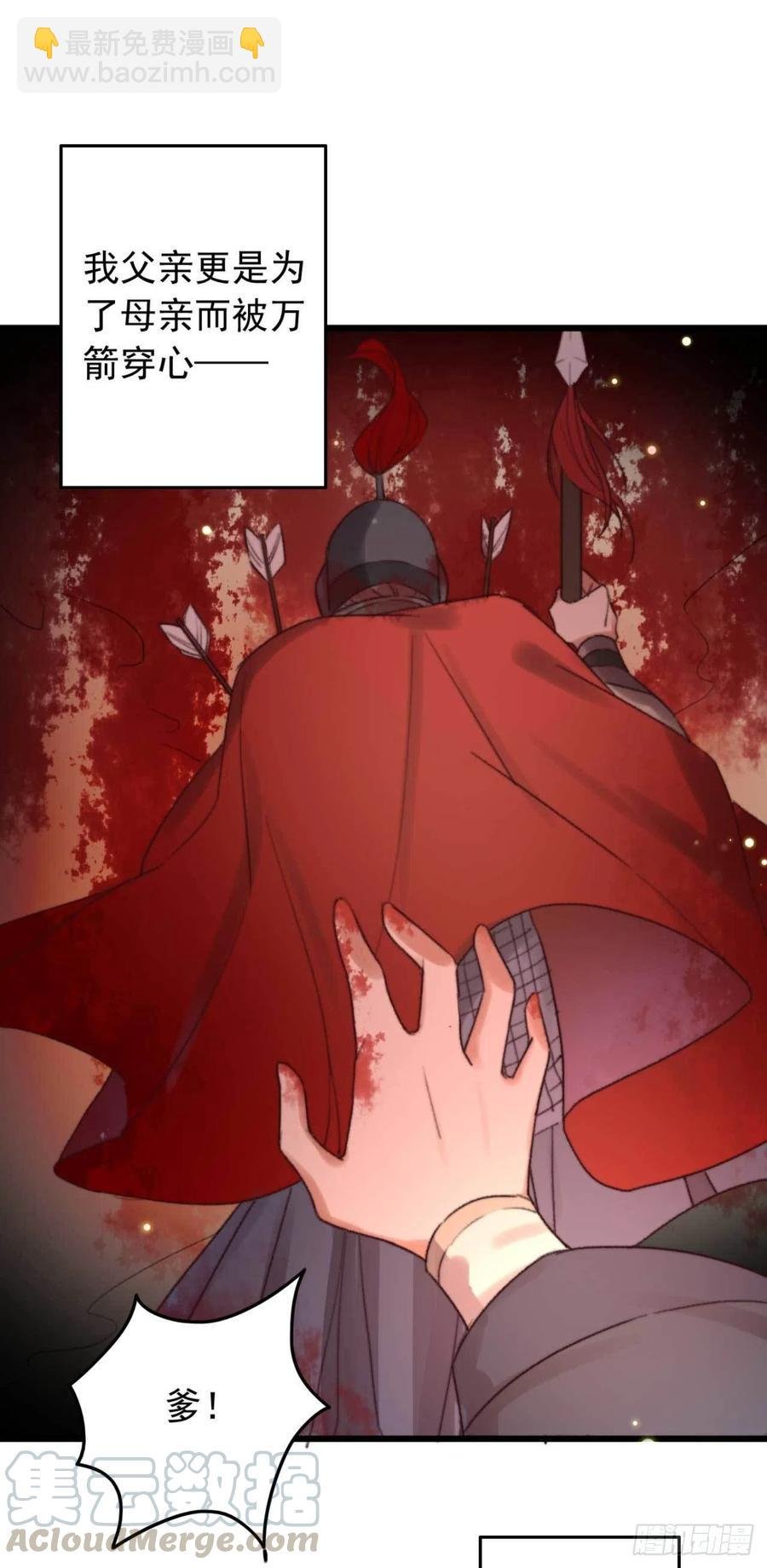 第46话 凌天的母亲