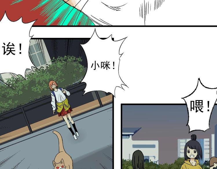 第5话 巧遇