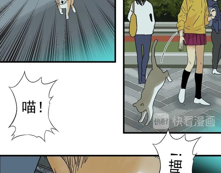 第5话 巧遇