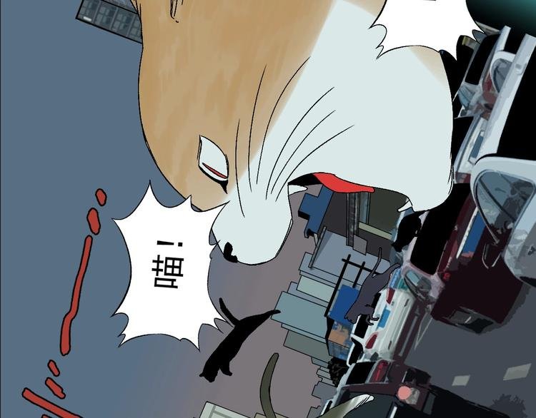 第5话 巧遇