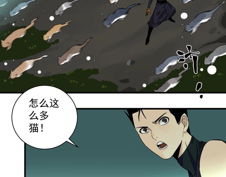 第5话 巧遇