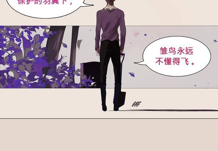 第二话 雏鸟不飞