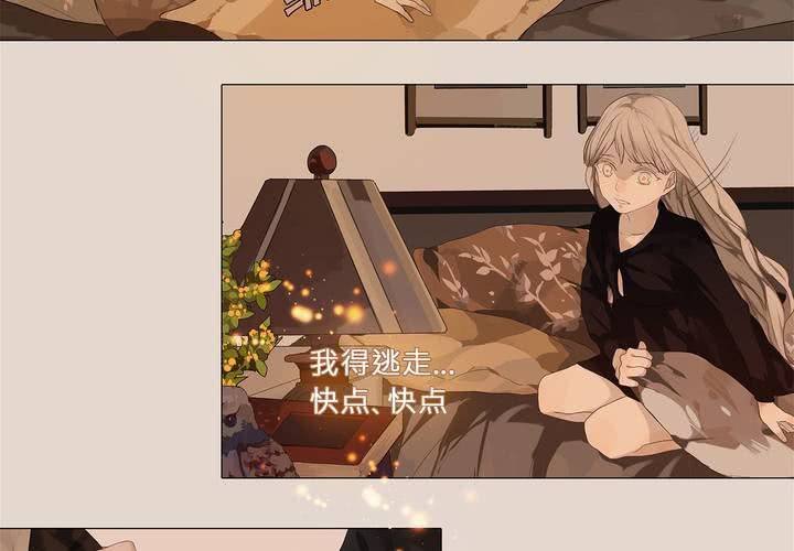 第二话 雏鸟不飞