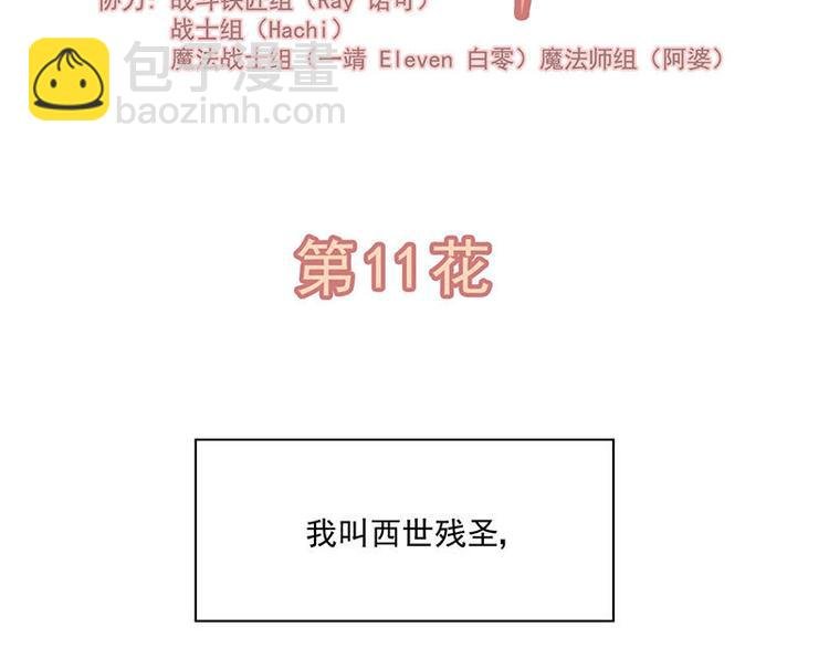 第11花