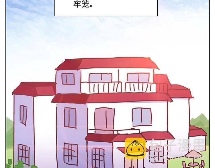 第11花