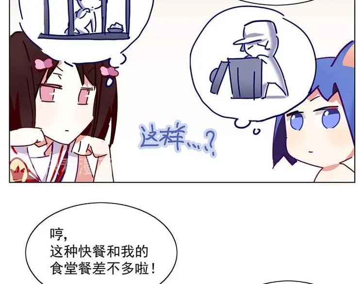 第13花