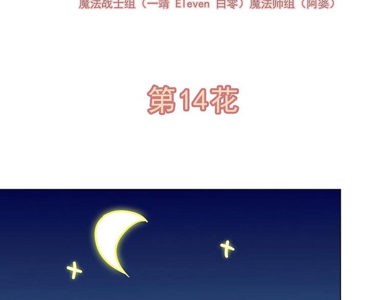 第14花