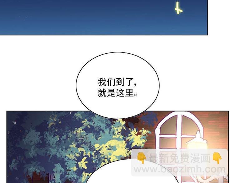 第14花