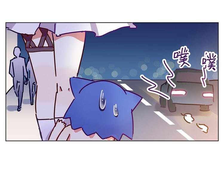 第16花