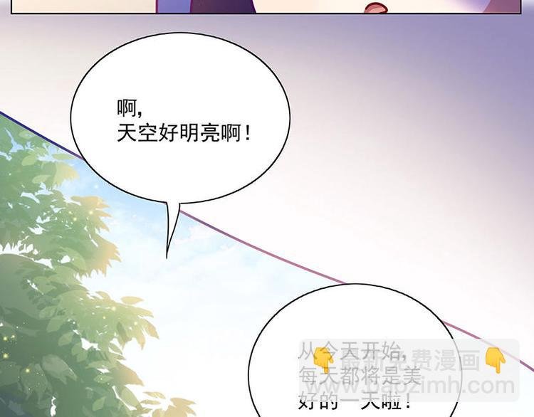 第17花