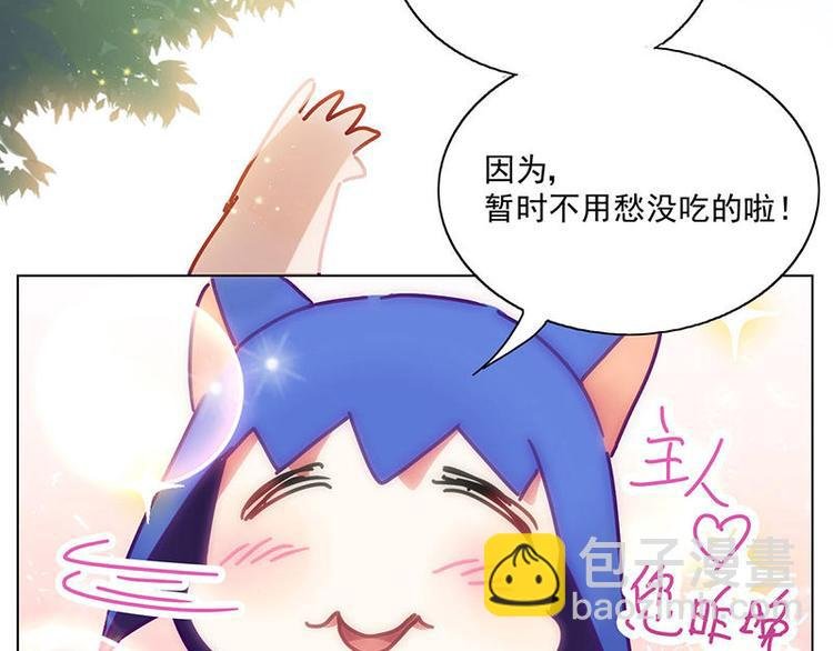 第17花