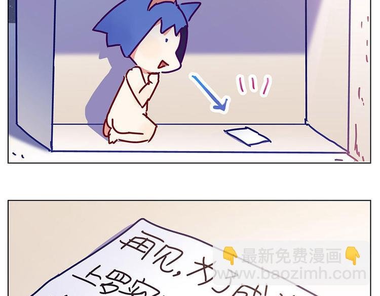 第17花