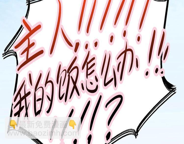 第17花
