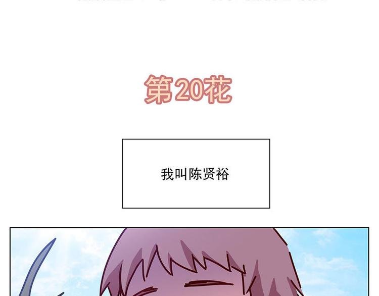 第20花
