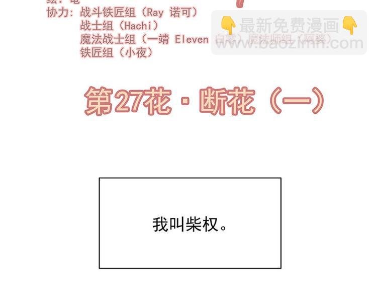 第27花