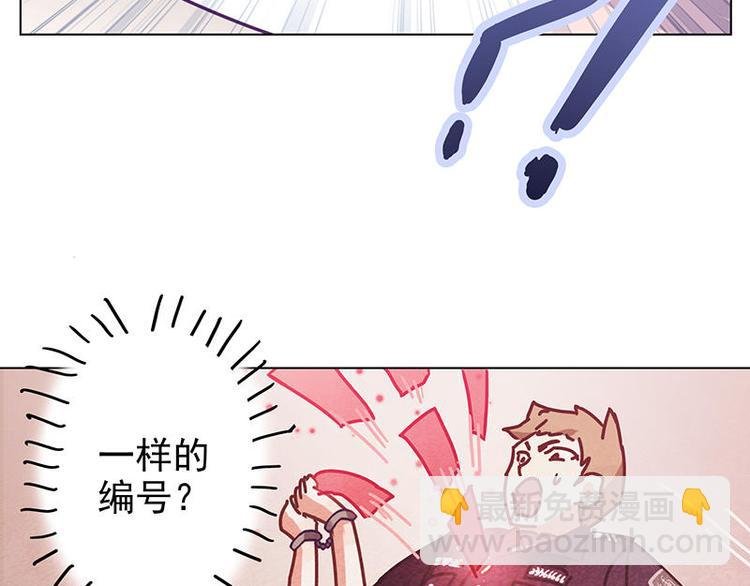 第27花