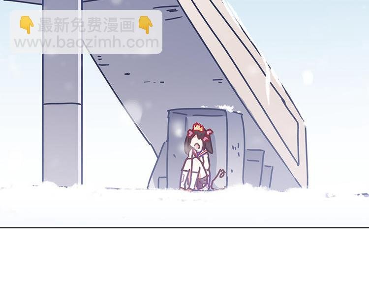 第28花
