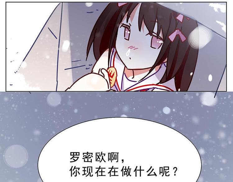 第28花