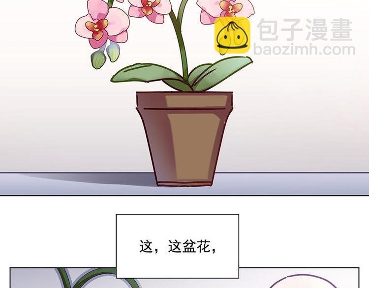 第34花