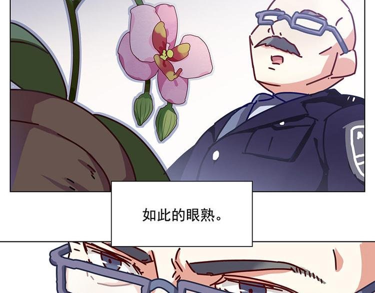 第34花