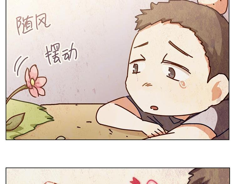 第34花